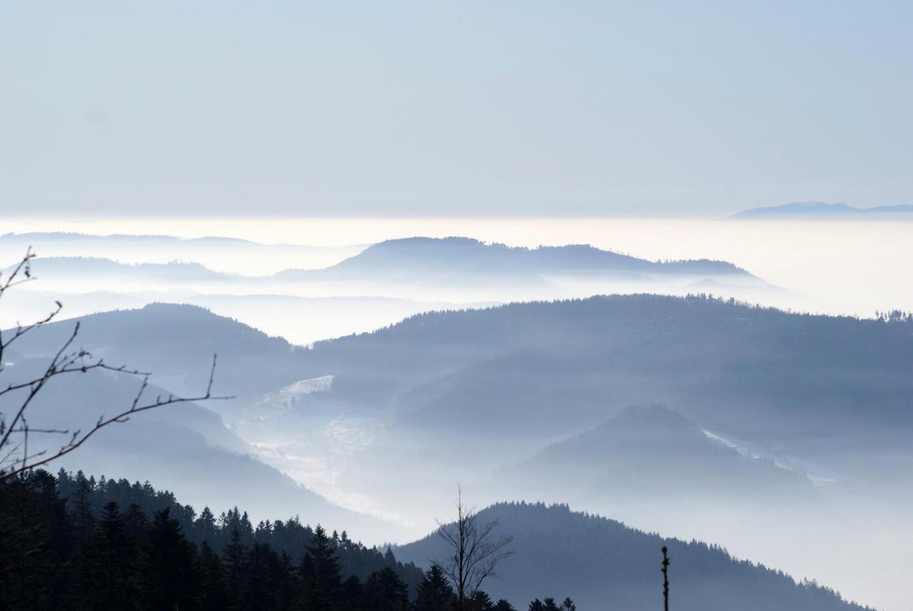 Apartmán Schauenburgblick Oberkirch  Exteriér fotografie